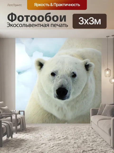 Фотообои Полярный медведь