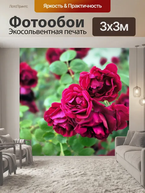 Фотообои Красный