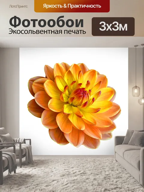 Фотообои Цветок георгина в цвету Клипарт