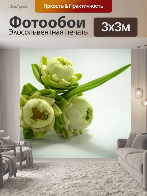 Фотообои Цветок белого лотоса