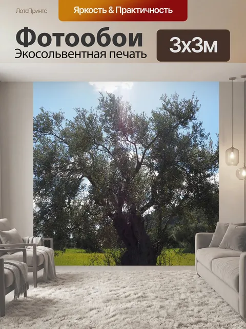 Фотообои Оливковое дерево