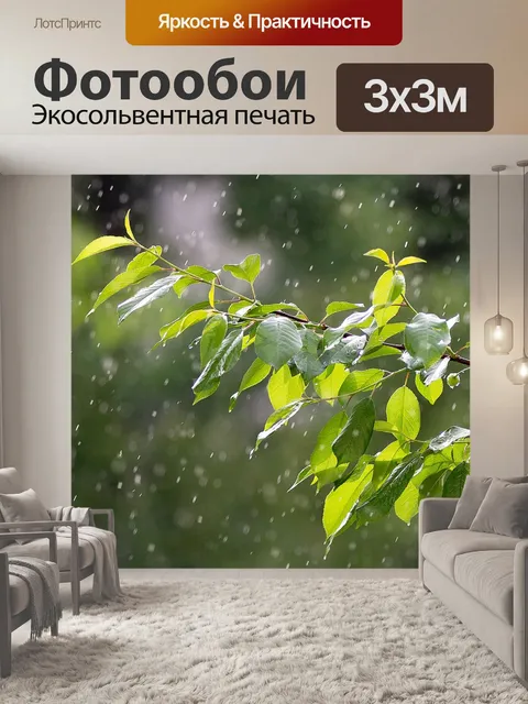 Фотообои Дождь