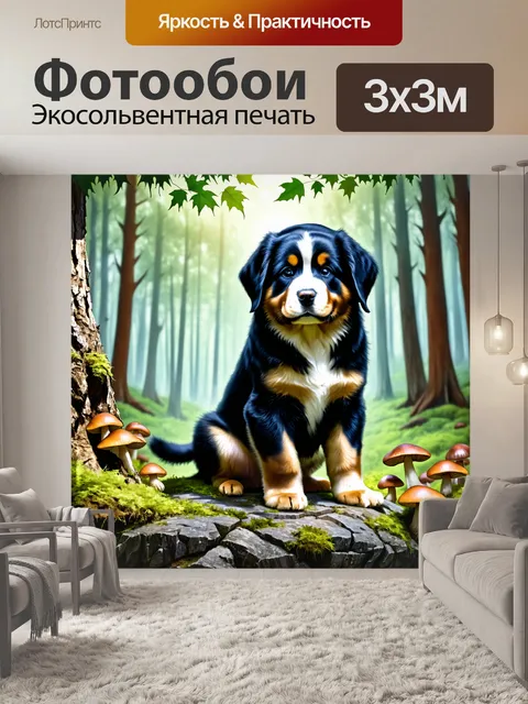 Фотообои щенок бернского зенненхунда, сидящий на большом камне в лесу, окружённый грибами и мхом
