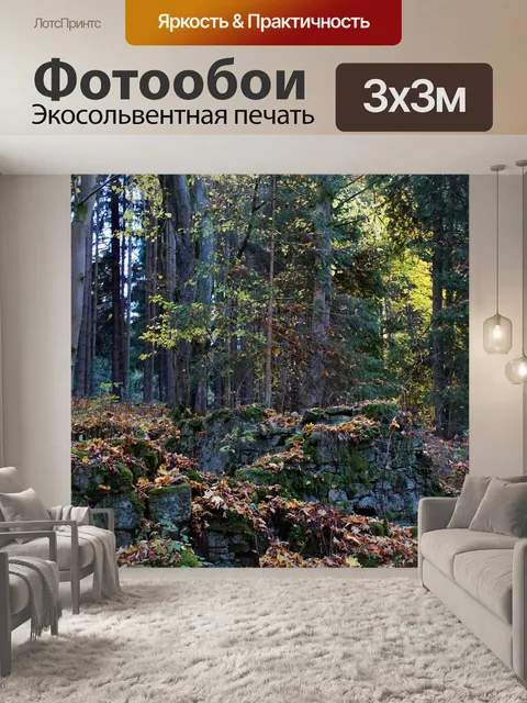 Фотообои Разорение