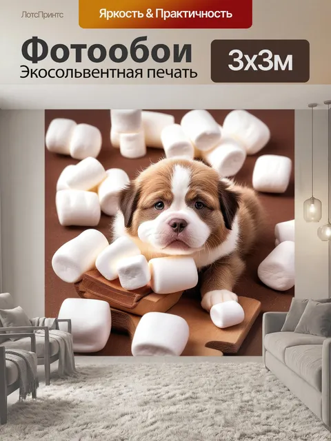 Фотообои собака, песик, милый