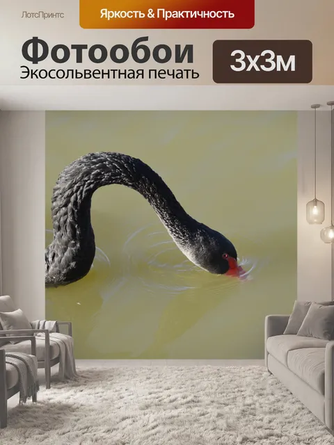 Фотообои Черный гусь