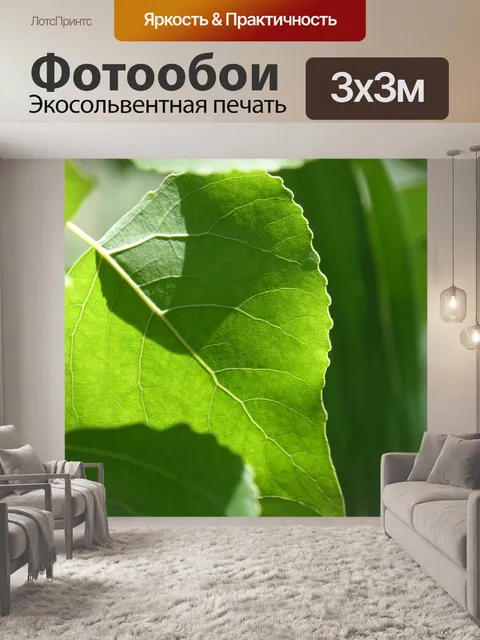 Фотообои Лист