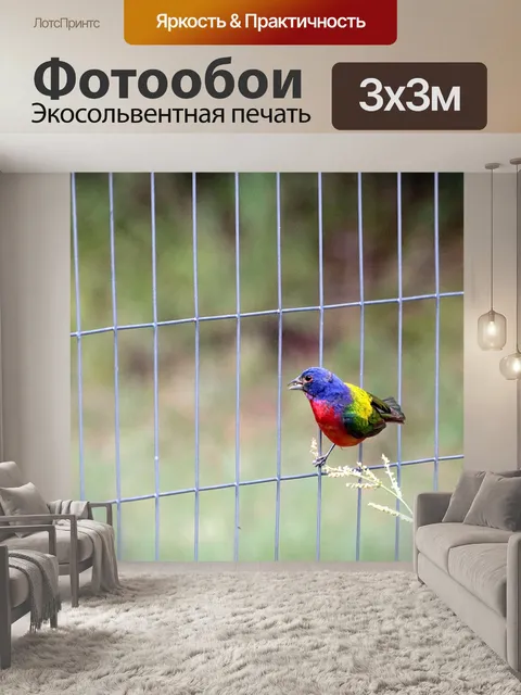 Фотообои Окрашенная овсянка на заборе