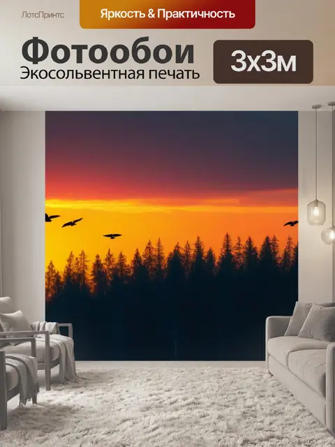 Фотообои птицы, улетающие в закат над лесом