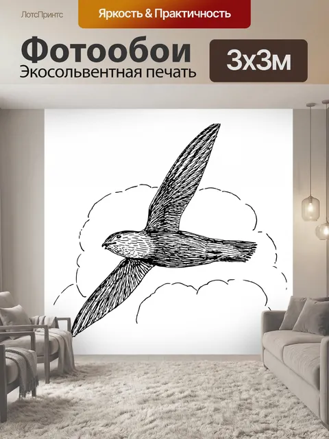 Фотообои Иллюстрация Swift Птица Clipart