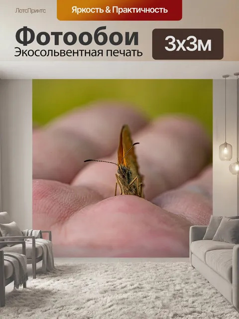 Фотообои Бабочка