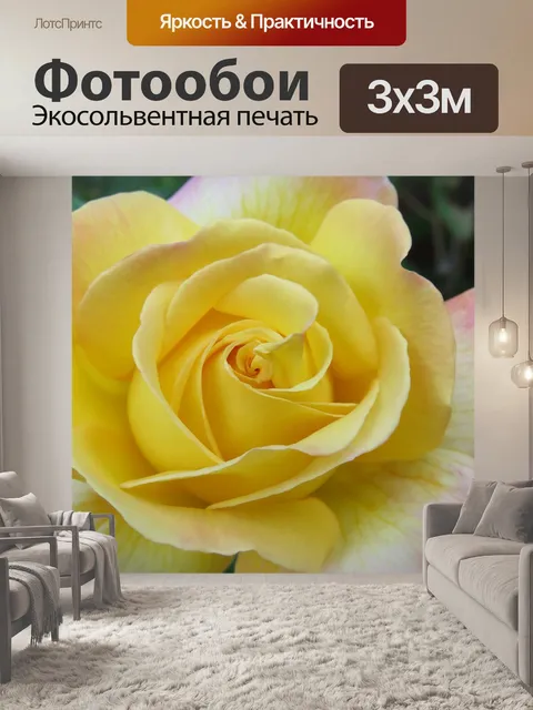 Фотообои Чайная роза