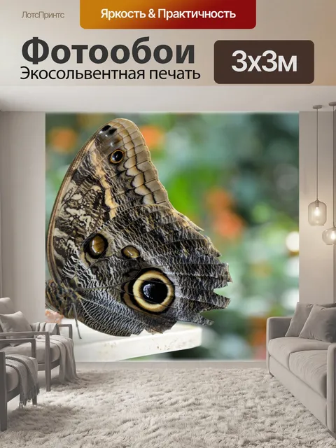 Фотообои Бабочки 02