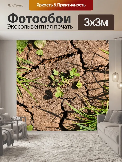 Фотообои Засуха