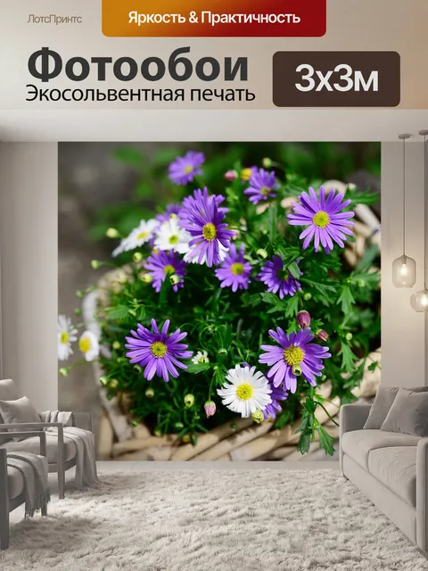 Фотообои Ромашки