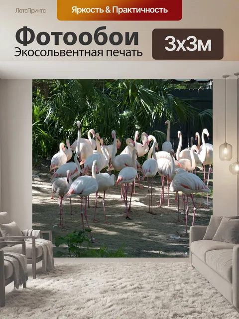 Фотообои Птицы фламинго