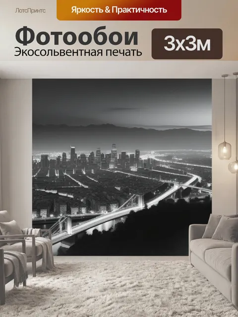 Фотообои красивый пейзаж с городом чернобелый