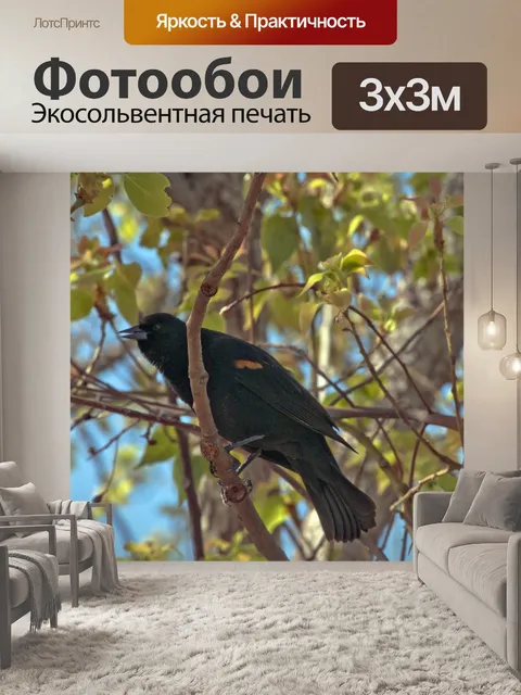 Фотообои Черный дрозд в дереве