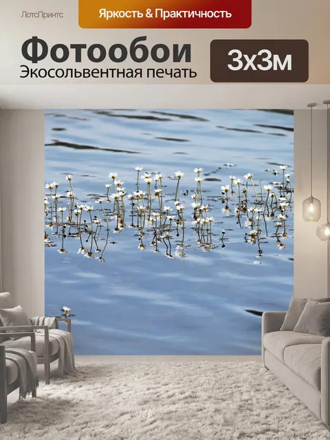 Фотообои Водяной лютик