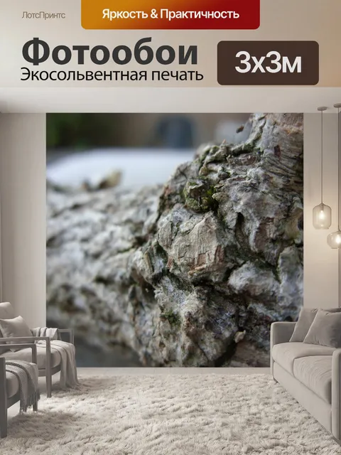 Фотообои Отрасль закрыть