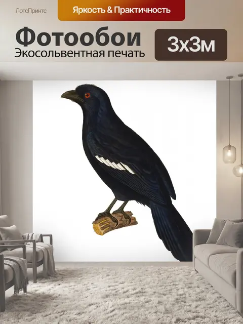 Фотообои Птица Сорока Винтажное Искусство