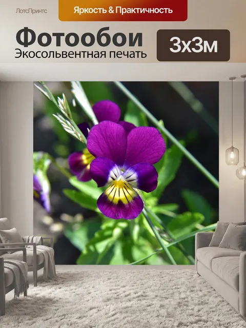 Фотообои Цветы