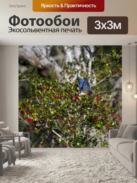Фотообои синяя птица красные ягоды