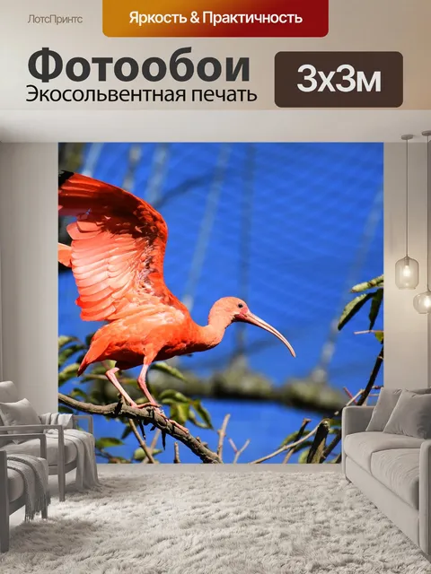 Фотообои Ибис