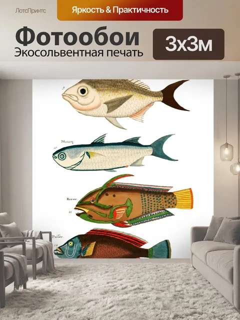Фотообои Рыба Винтаж Художественный Принт