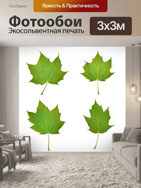 Фотообои Листья
