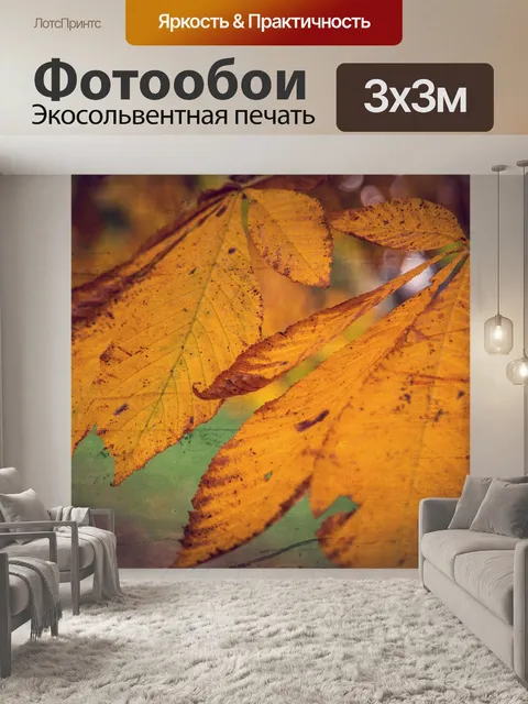 Фотообои Осенние листья