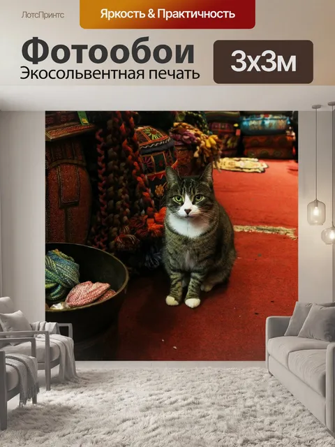 Фотообои Собака