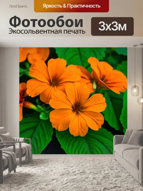 Фотообои оранжевый цвет: солнечные оранжевые цветы на фоне зеленых листьев, создают контраст и гармонию