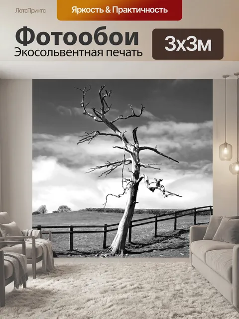 Фотообои Дерево