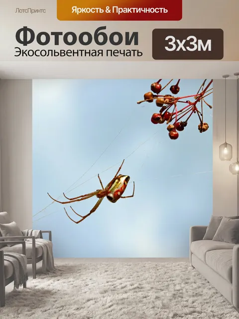 Фотообои серебряный болотный паук на шелковой нит
