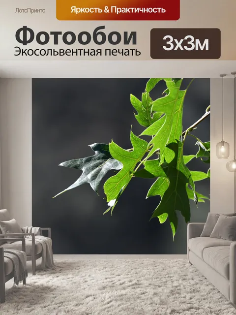 Фотообои Дубовые листья в солнечном свете