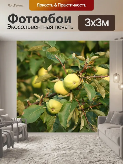 Фотообои Дерево