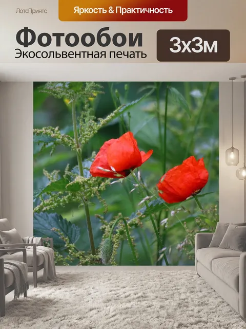 Фотообои Маки