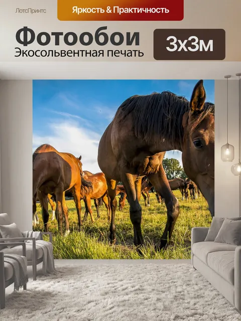Фотообои Лошади