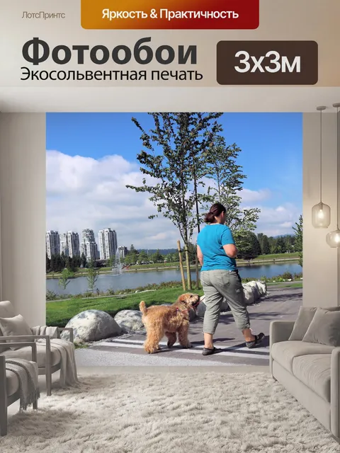 Фотообои прогулки с собакой