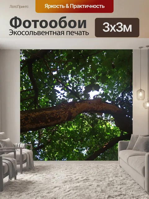 Фотообои небо видно сквозь густые листья