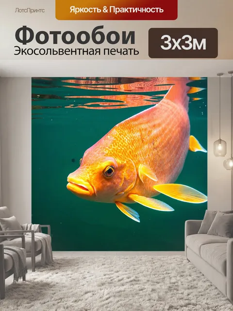 Фотообои карп, плывущий к поверхности, чтобы схватить насекомое, с яркими, переливающимися чешуя и внимательным…
