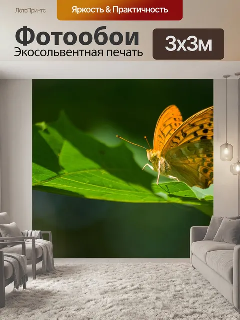Фотообои Императорское пальто