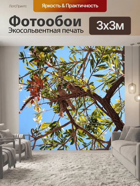 Фотообои Птицы на дереве