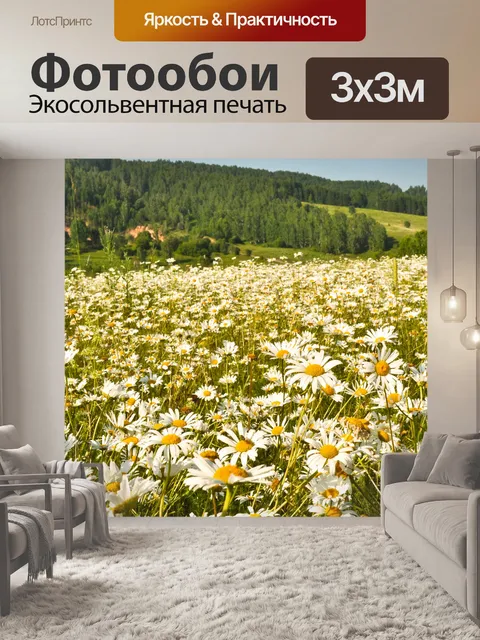 Фотообои Луг ромашек