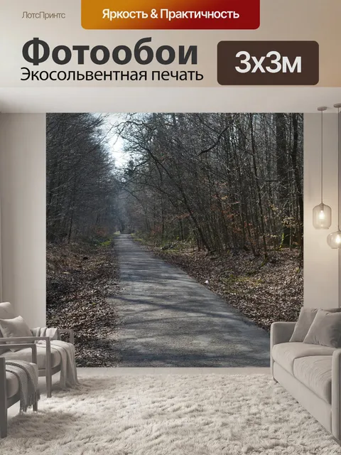 Фотообои Лесная тропа
