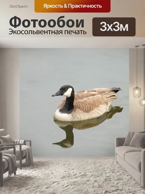 Фотообои Птица