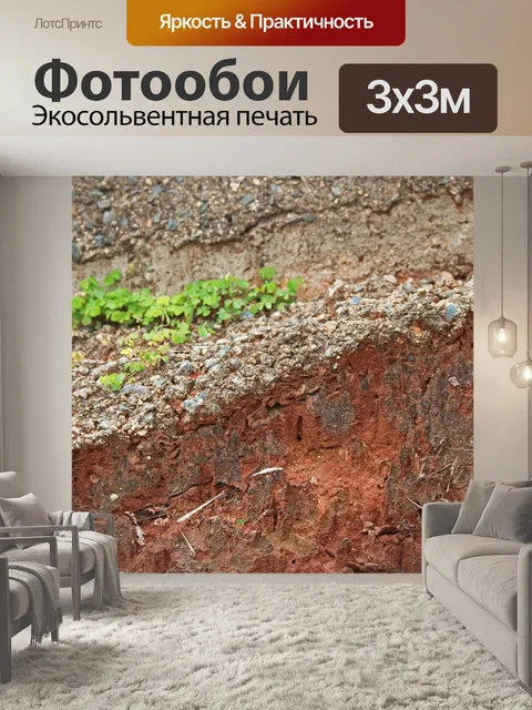 Фотообои поперечное сечение открытой земли