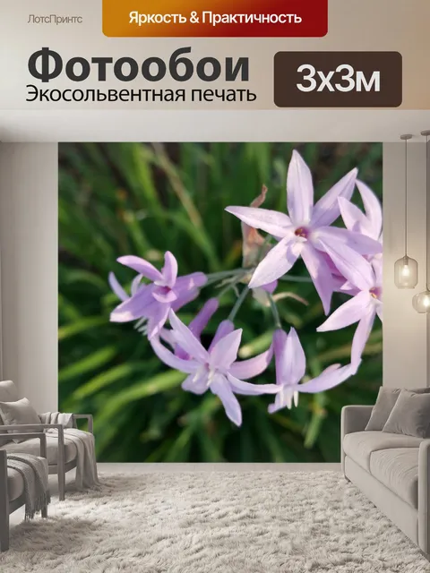 Фотообои Розовые звездочки