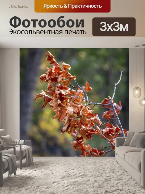 Фотообои Осенние листья